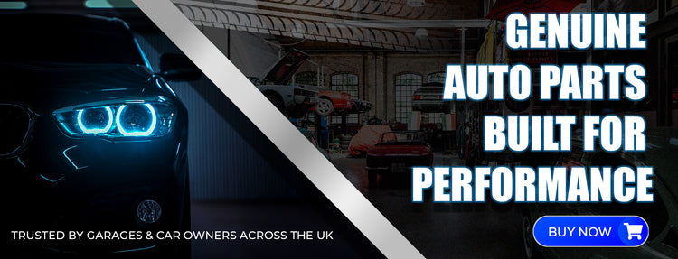 WebSite_Banner DDP