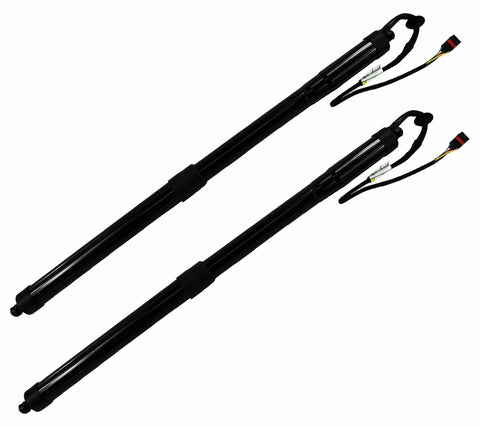 Rear Boot Strut Spindle Drive (Pair) for Porsche: Cayenne