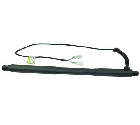 For BMW X5,E70 [2006-2013] Tailgate Boot Strut Spindle Drive Right (Right/Driver) 51247332696