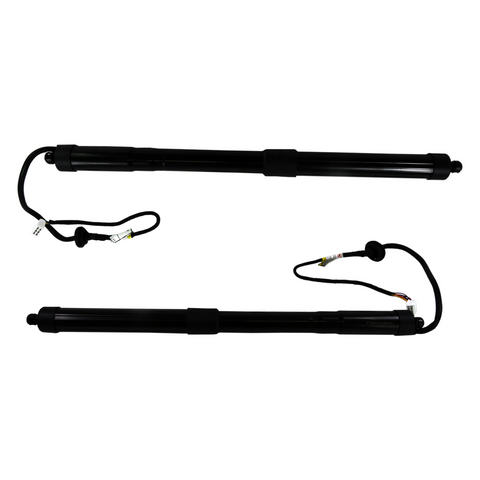 X2 Rear Power Liftgate Support 6892009010 6891009010 For Toyota Rav4 (2013-2018)