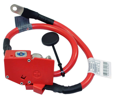 Battery Blow Off (Positive Wire) Lead Cable FOR BMW 3 4 Series F30 F31 F32 F34 61129259425
